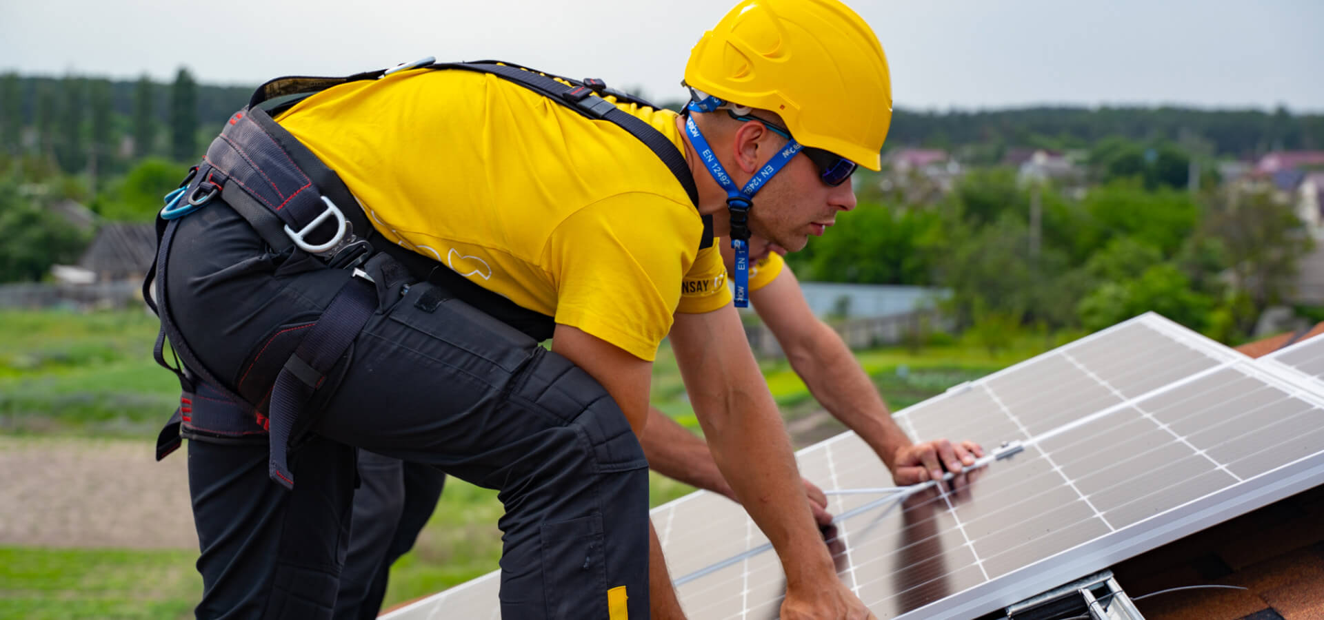 Що подібного між каліфорнійською качкою та стрімким злетом ВДЕ в Україні?